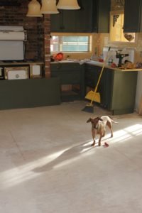 Young Victorian | Colorado | Kitchen Renovation