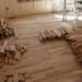 FaithSpun | Young Victorian | Sorting Raw Hardwoods